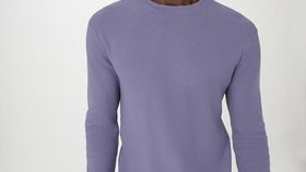 hessnatur Herren Pullover Regular aus Bio-Baumwolle - lila - Größe 46