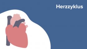 Herzzyklus