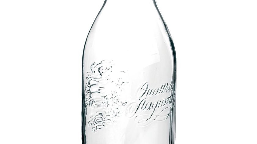 Twist off Flaschen zum Befüllen beim Saft selber machen
