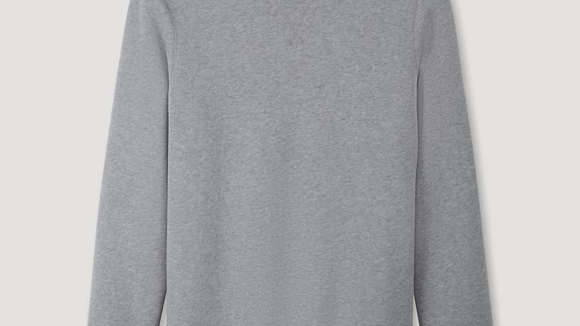 hessnatur Herren Sweater aus Bio-Baumwolle - grau - Größe 46