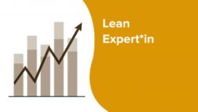 LEAN Expert
