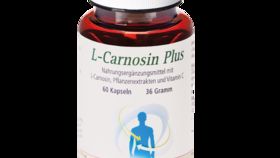 L-Carnosin
