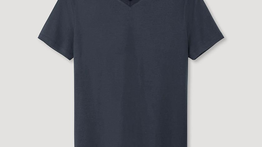 hessnatur Herren V-Shirt aus Bio-Baumwolle - blau - Größe 54