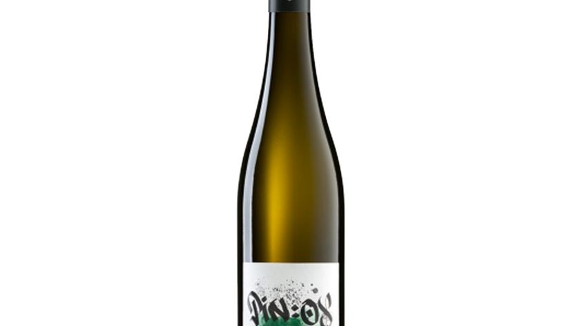 Bergdolt-Reif & Nett - Pin:OX Weisswein Cuvee