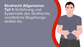 Strafrecht Allgemeiner Teil 1: Einführung und Systematik des Strafrechts, vorsätzliche Begehungsdelikte, Unterlassungsdelikte, Fahrlässigkeitsdelikte, Vorsatz-Fahrlässigkeitskombinationen