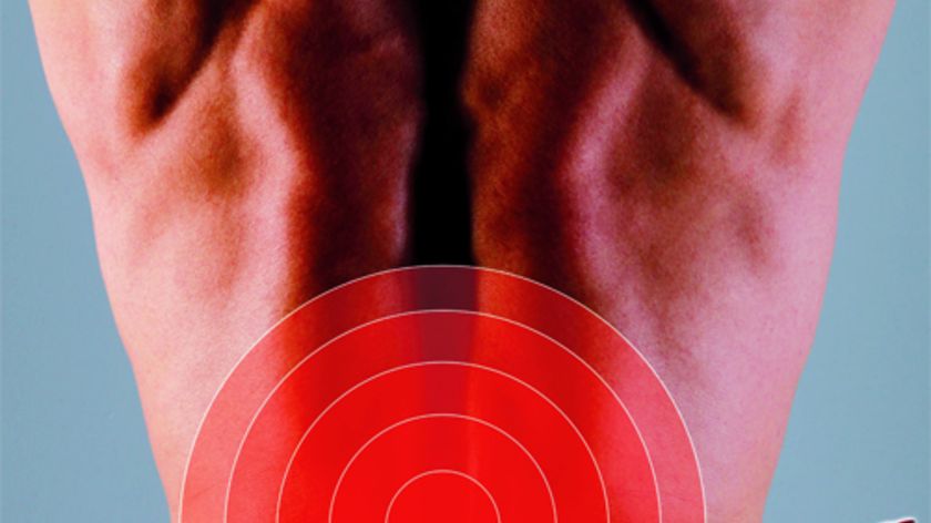 Physio Gym - Lendenwirbelsäule  von und mit Andreas Goller