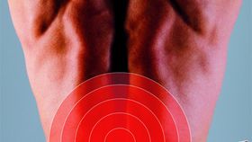 Physio Gym - Lendenwirbelsäule  von und mit Andreas Goller
