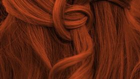 Pflanzenhaarfarbe Komplett SET warmes Flammen-Rot - "warm flame red" direkt vom Naturfriseur Profi -