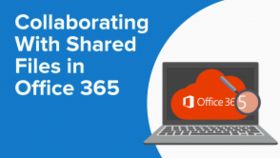 Collaborating With Shared Files in Office 365
