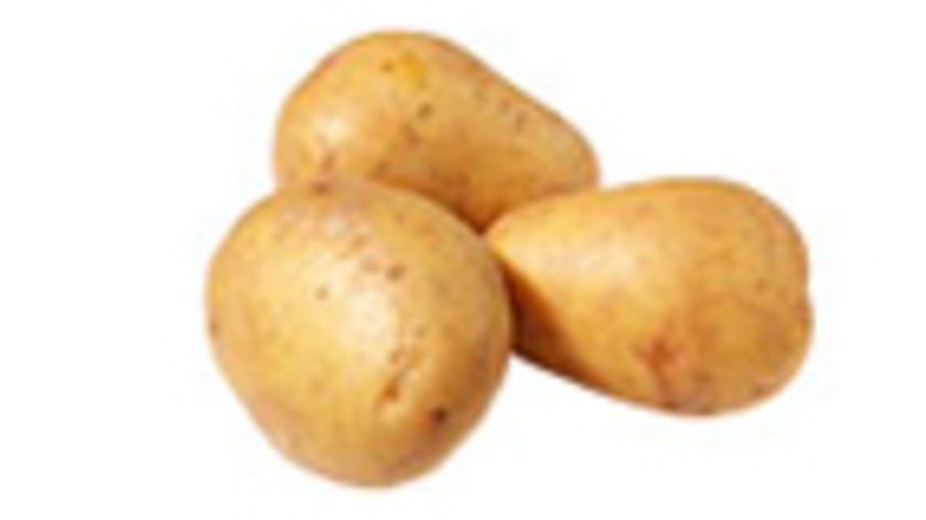 Frühkartoffeln Avanti, festkochend (1 kg)