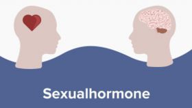 Sexualhormone