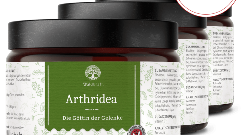 3er-Pack Arthridea – Die Göttin der Gelenke - 3x300g