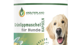 Grünlippmuschel Kapseln für Hunde 300 Stück