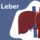 Die Leber