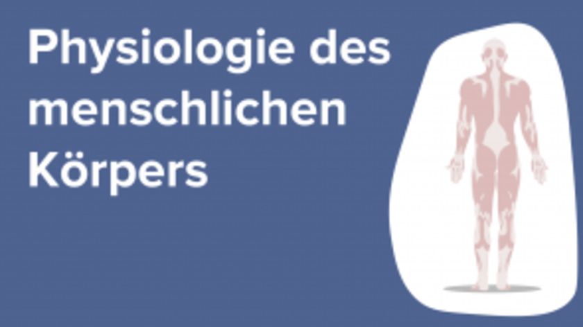 Physiologie des menschlichen Körpers