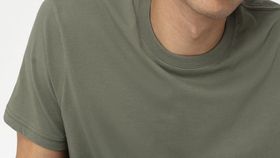 hessnatur Herren T-Shirt Regular aus Bio-Baumwolle - grün - Größe 54