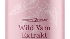 Wild Yam Extrakt Kapseln - 120 Stk
