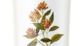 Basische Zahncreme - Nelke