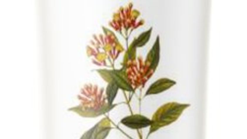 Basische Zahncreme - Nelke