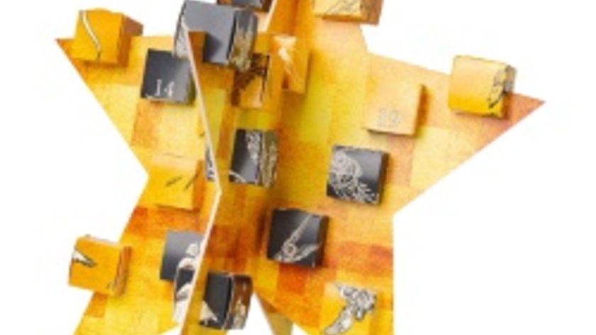 Adventskalender Biofekt mit edlen Pralinen