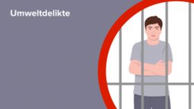 Umweltdelikte