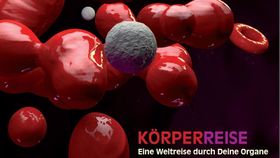 Körperreise - Eine Weltreise durch die Organe Audio-CD mit Inga Stendel