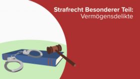 Strafrecht Besonderer Teil: Vermögensdelikte