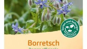 Bingenheimer Saatgut Borretsch