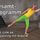 TELE-GYM 44 Bodystyling mit Brasil® Gesamtprogramm VOD