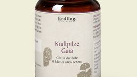 Kraftpilze Gaia - Vitalpilz Synergetikum – 120 Kapseln