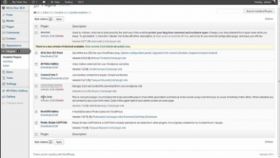 WordPress Plugins