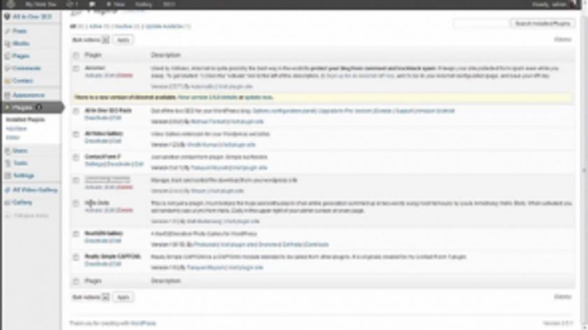 WordPress Plugins