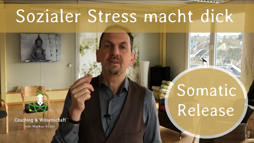 Sozialer Stress macht fett - Somatic Release