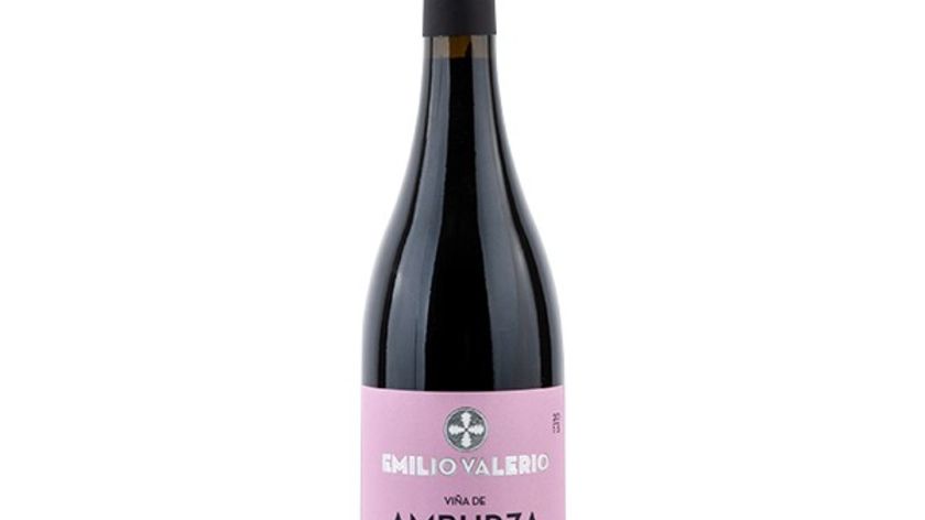 Weingut Laderas de Montejurra - Amburza