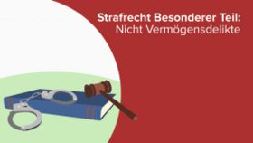 Strafrecht Besonderer Teil: Nicht Vermögensdelikte
