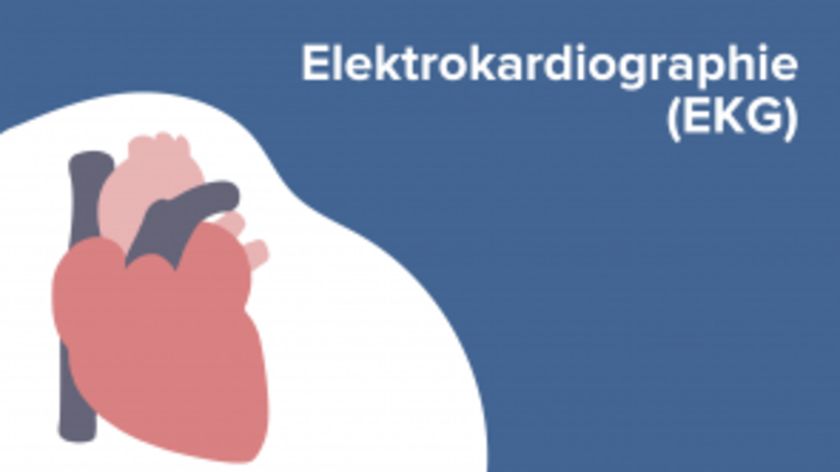 Elektrokardiographie (EKG)