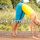 TELE-GYM 43 Happy Balance Folge 4 Stark gemacht