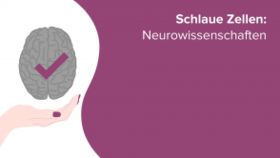 Schlaue Zellen: Neurowissenschaften