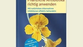 Pflanzliche Antibiotika richtig anwenden