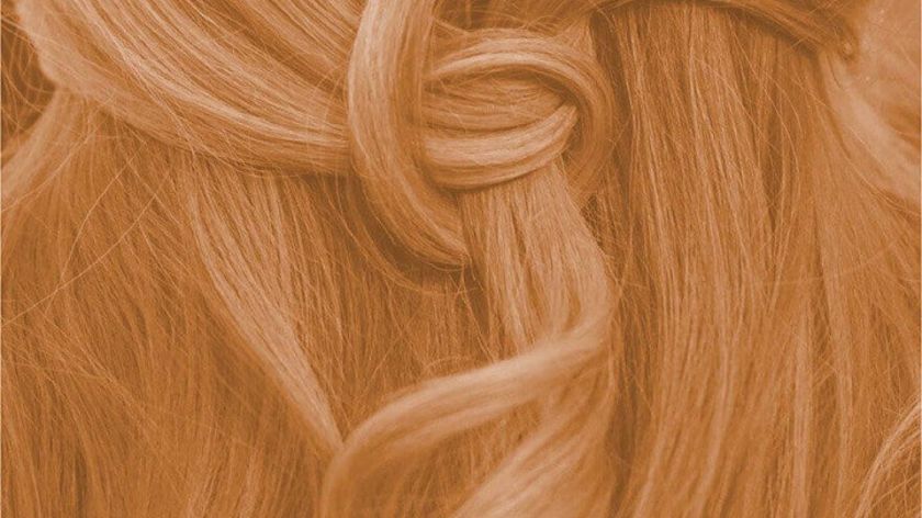Pflanzenhaarfarbe Komplett SET "helles warmes Kupfer-Blond - warm tizian blond" Naturfriseur Profi,