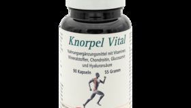 Knorpel Vital, 90 Kapseln