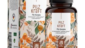 Pilz-Komplex für Immunsystem*, geistige Leistung** & Darmschleimhaut*** - Pilzkraft - 1 Dose Pilzkraft (die meisten Kunden kaufen 2 Dosen)