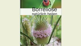 Borreliose natürlich heilen