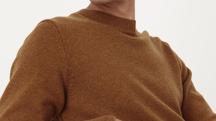 hessnatur Herren Pullover aus Bio-Lambswool - braun - Größe 48