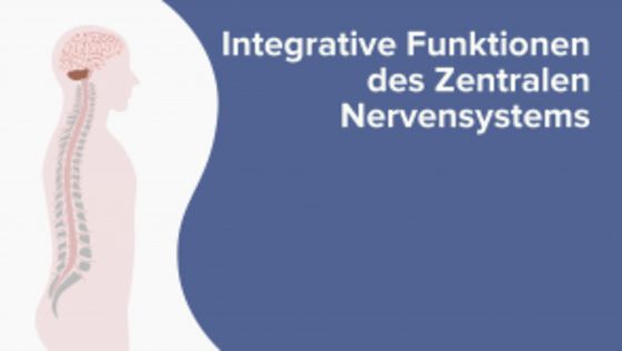 Integrative Funktionen des Zentralen Nervensystems