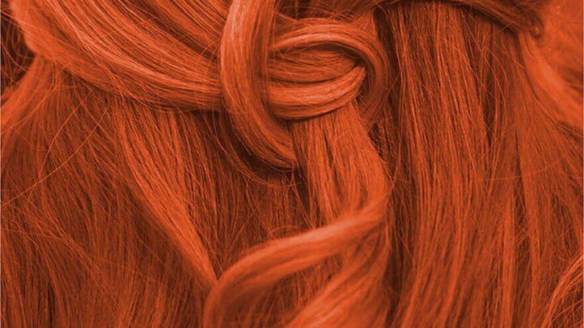 Pflanzenhaarfarbe Komplett SET "kaltes rotes Henna pur - cool pure henna red" Naturfriseur Profi, 13