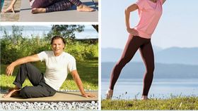 TELE-GYM 52  Jeden-Tag-Fitness
