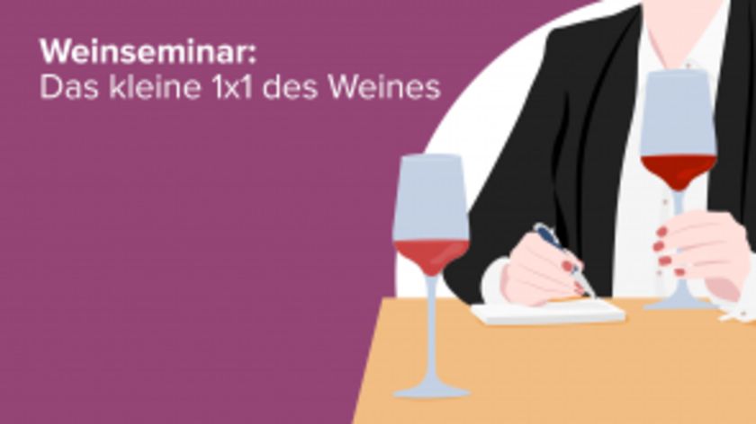 Weinseminar: Das kleine 1x1 des Weines