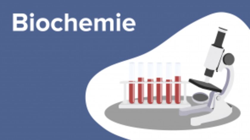 Biochemie für Mediziner*innen