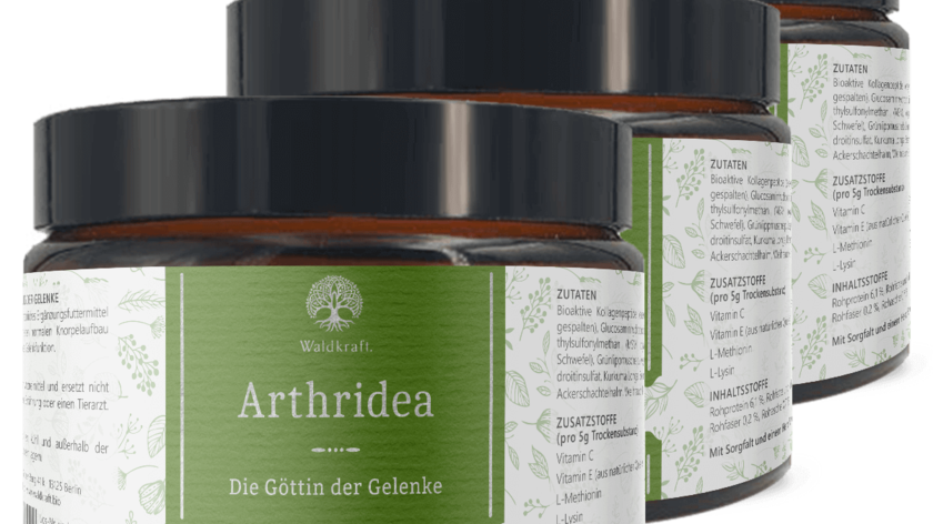 Arthridea 3er Pack – Die Göttin der Gelenke (900g)-Copy